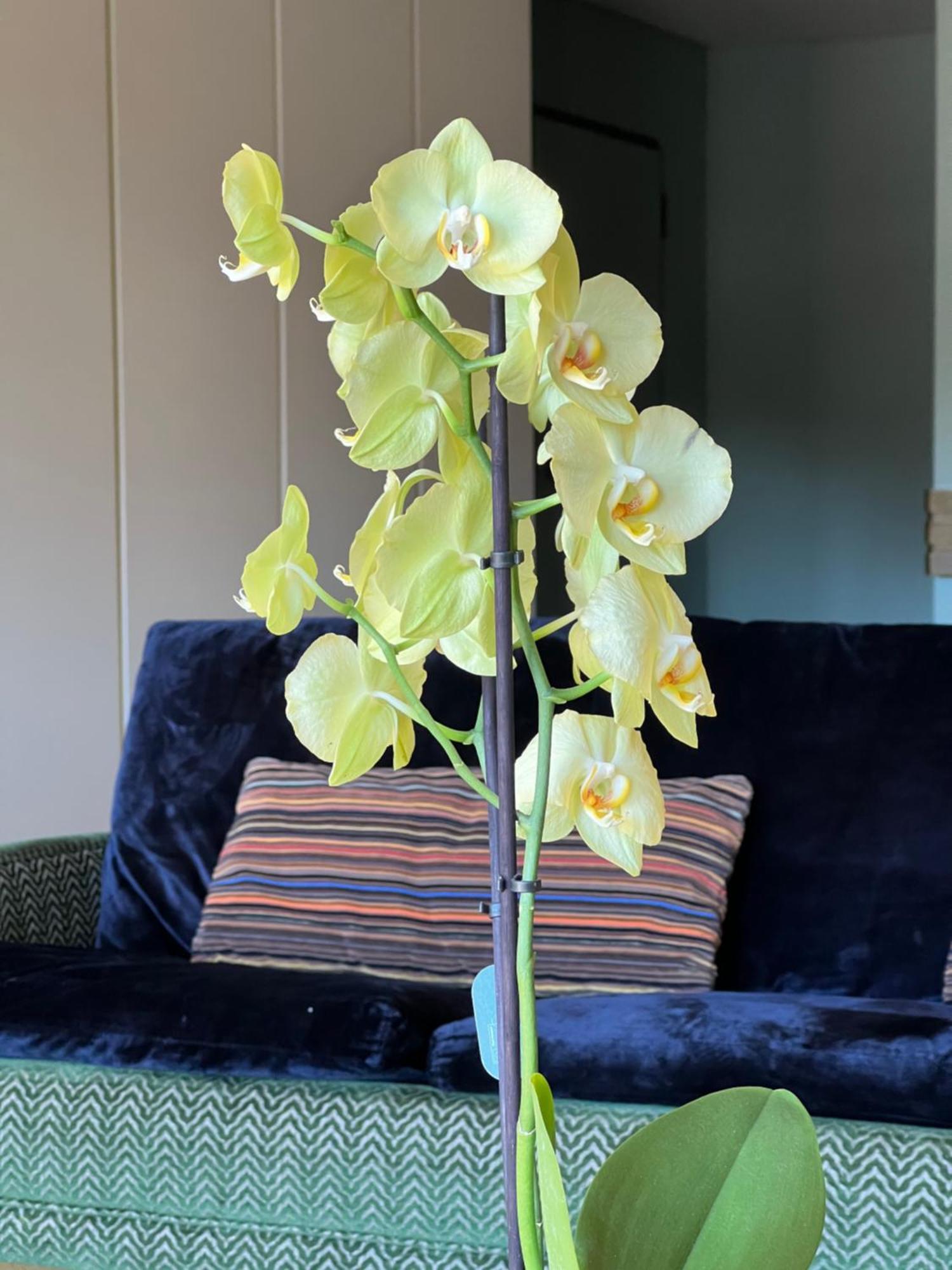 Urban Apartment Casa Da Portela ปอร์โต ภายนอก รูปภาพ